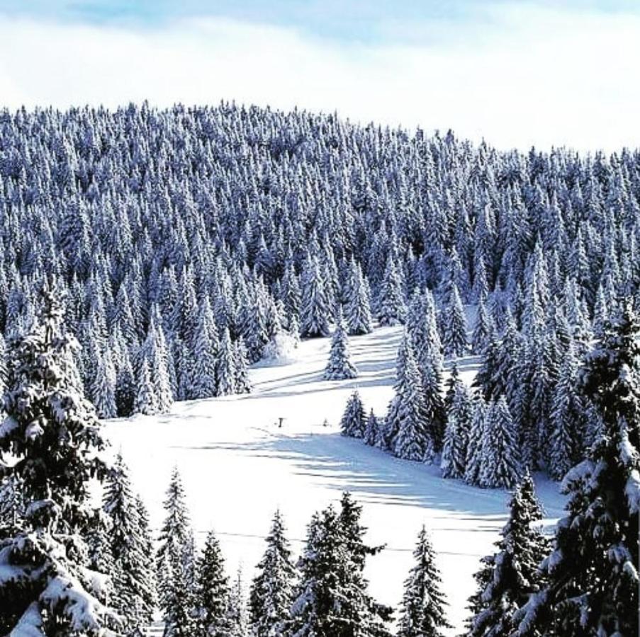 Zlatibor Hills Royal Apartment Exterior photo