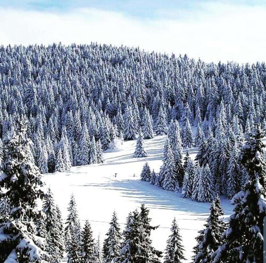 Zlatibor Hills Royal Apartment Exterior photo